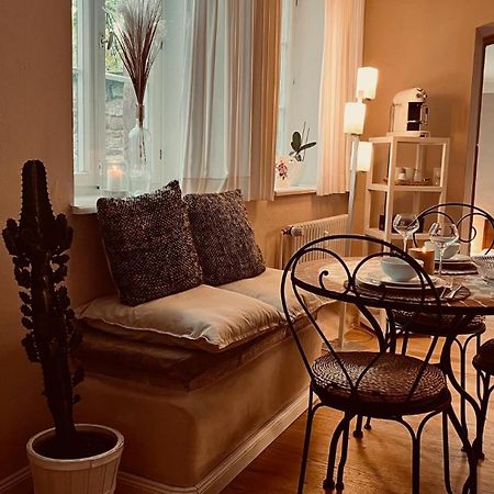 Apartment Am Schloss - Flair Саарбрюкен Екстериор снимка